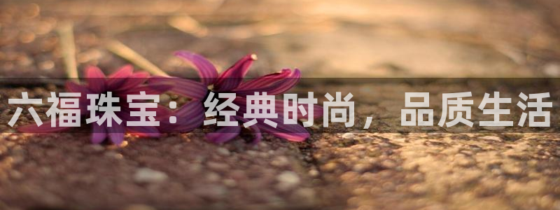 新航飞机椅背娱乐设备