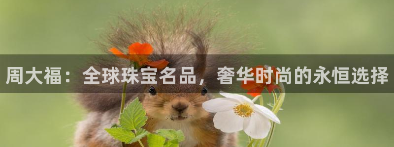 新航娱乐设施