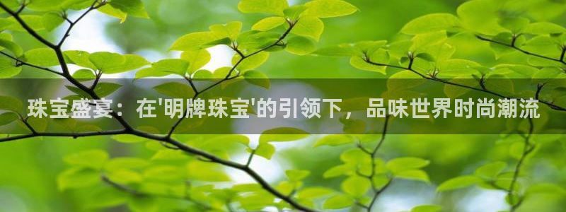 新航娱乐扣款详情
