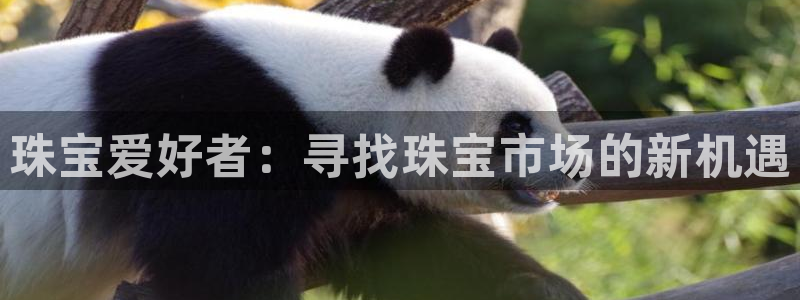 新航娱乐公司地址电话
