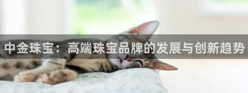 中国证券新航娱乐官网