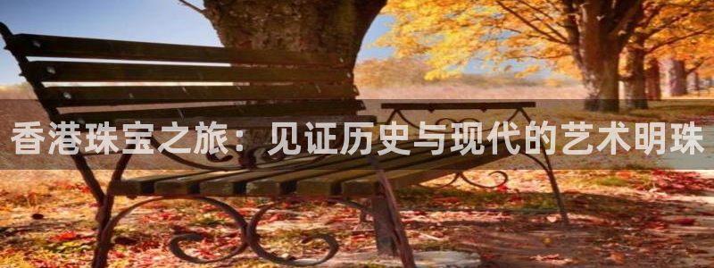 新航新客舱机上娱乐银