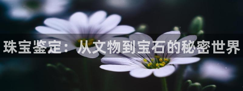 新航海娱乐会所地址电话
