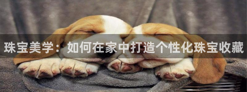 新航城娱乐传媒有限公司