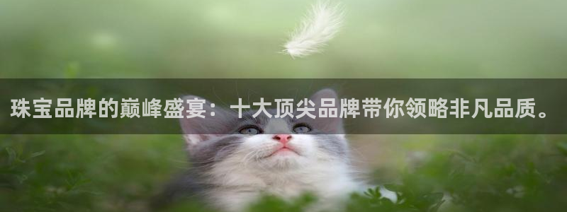 新航娱乐招商Q