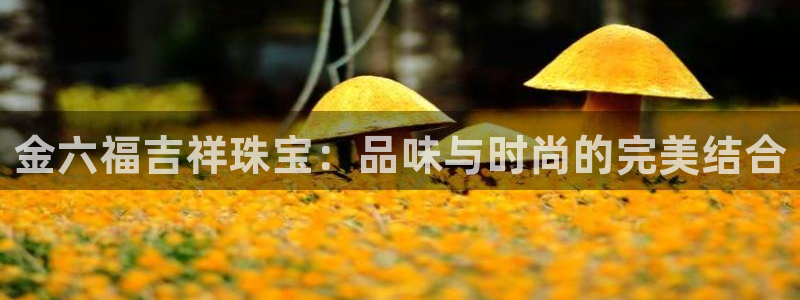 新航娱乐传媒