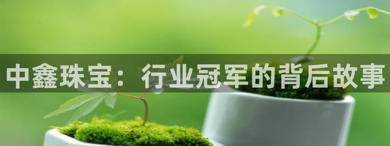 中国新航娱乐平台官网