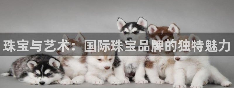 新航娱乐公司怎么样知乎：珠宝与艺术：国际珠宝品牌的独特魅力