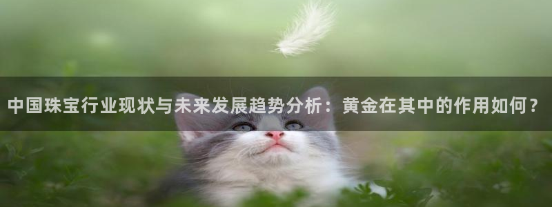 新航娱乐官网地址