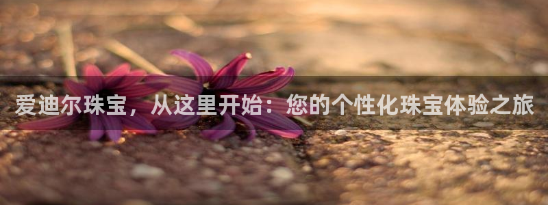 新航娱乐公司：爱迪尔珠宝，从这里开始：您的个性化珠宝体验之旅