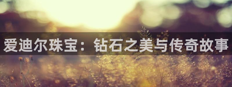 新航娱乐登录网站