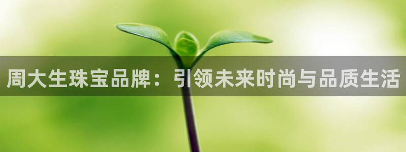 新航娱乐观