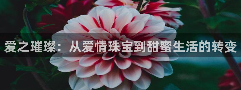 新航娱乐怎么样知乎：爱之璀璨：从爱情珠宝到甜蜜生活的转变