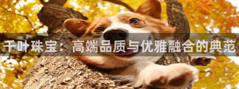 新航娱乐怎么开户：千叶珠宝：高端品质与优雅融合的典范