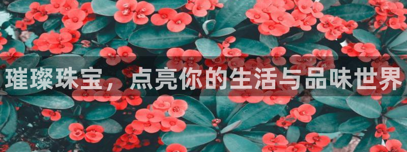 新航娱乐平台登录入口：璀璨珠宝，点亮你的生活与品味世界