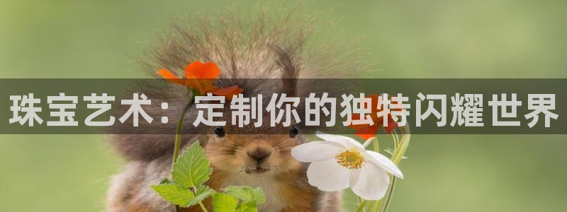 新航娱乐最新消息