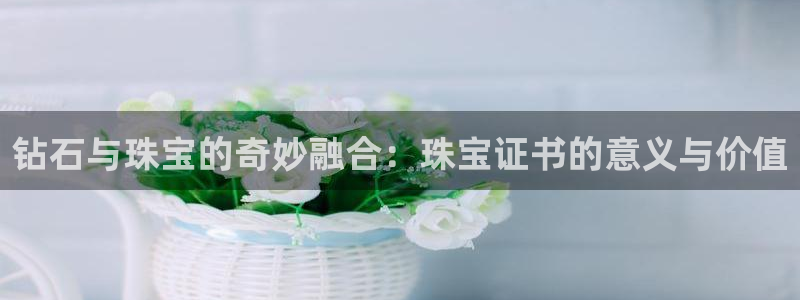 新航娱乐怎么开户