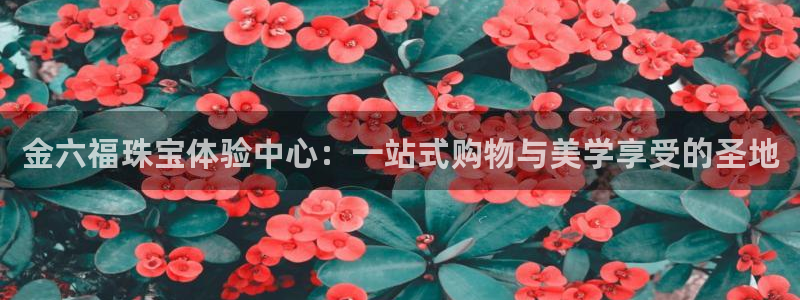 新航娱乐公司简介图片：金六福珠宝体验中心：一站式购物与美学享