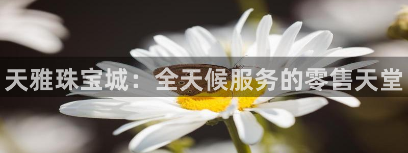 新航娱乐公司地址电话：天雅珠宝城：全天候服务的零售天堂