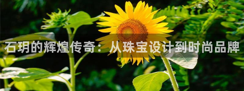 新航娱乐黑