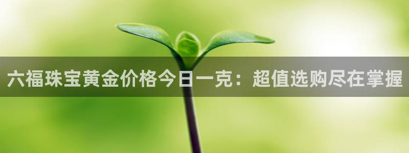 新航娱乐是干嘛的