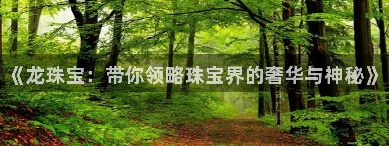 新航线辉煌娱乐会所