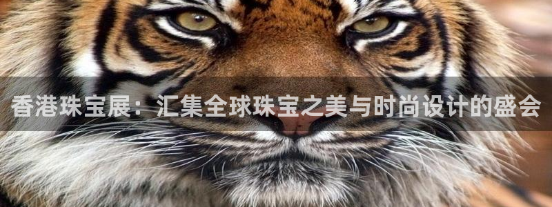 中国新航娱乐在哪个平台