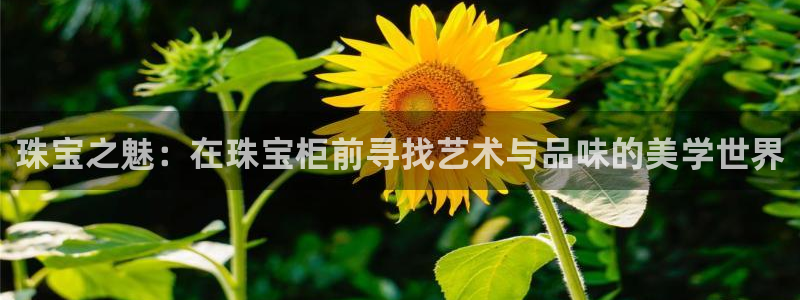 新航娱乐传媒招聘信息