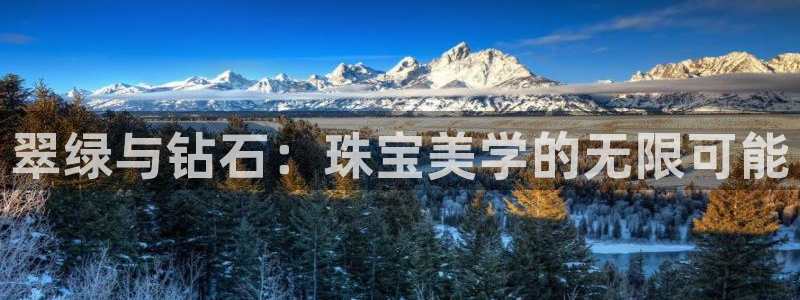 新航娱乐观