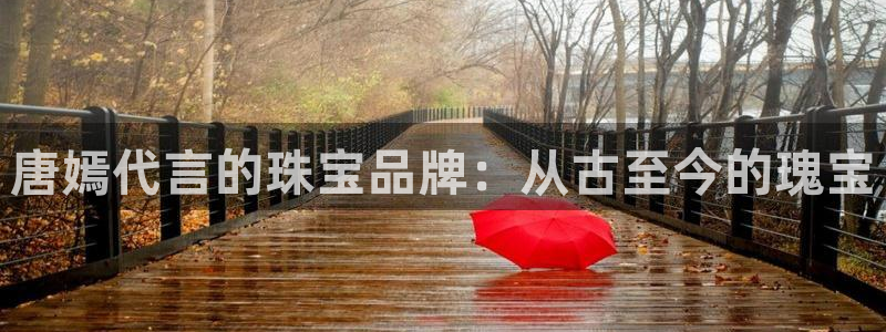 新航娱乐属于什么级别