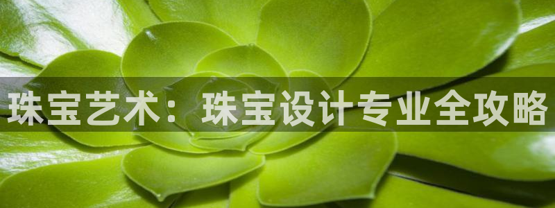 新航娱乐有方法开挂吗：珠宝艺术：珠宝设计专业全攻略