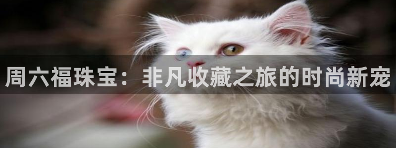 兰山新航线娱乐会所