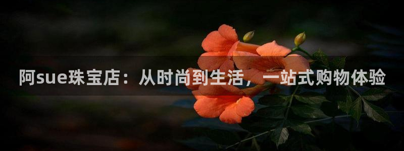 中国新航娱乐平台官网：阿sue珠宝店：从时尚到生活，一站式购