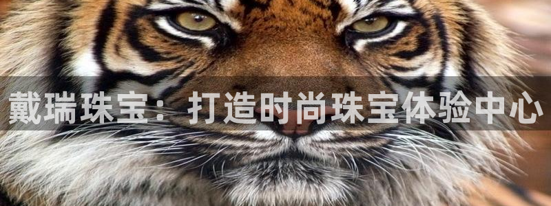 新航娱乐app下载地址