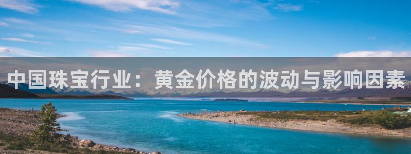 新航娱乐传媒招聘