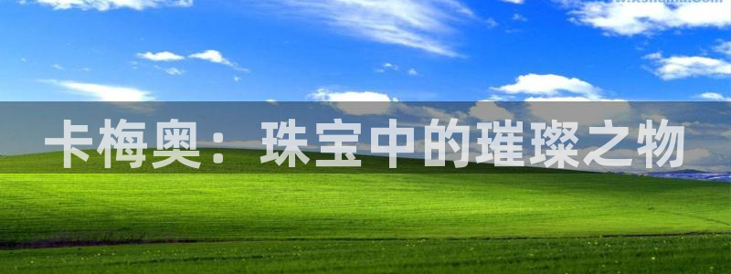 中国新航娱乐平台官网