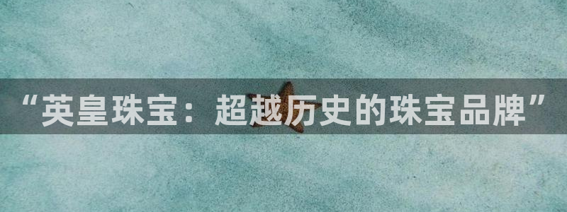 新航娱乐入网要求