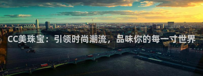 新航娱乐公司简介资料