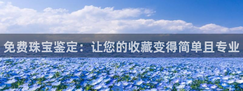 新航娱乐管理有限公司：免费珠宝鉴定：让您的收藏变得简单且专业