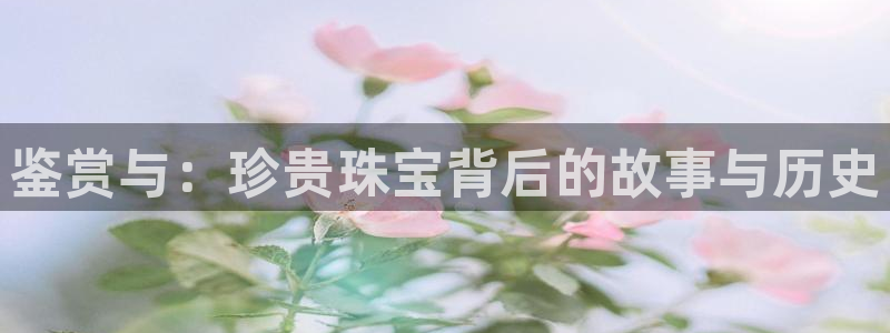 新航娱乐公司地址在哪里