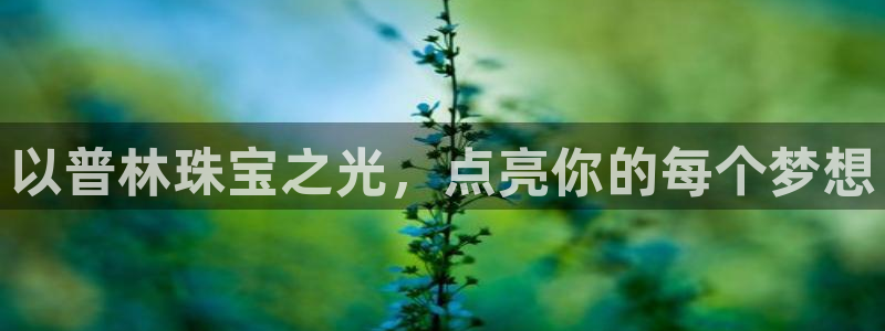 新航娱乐客服电话