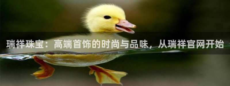 新航娱乐公司艺人招聘