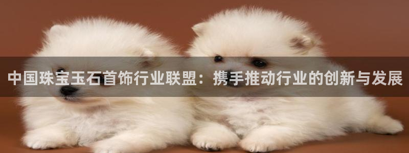 新航娱乐