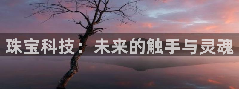 新航娱乐怎么开户