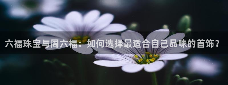 新航娱乐入网要求
