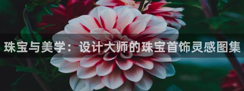 中国新航娱乐官网入口