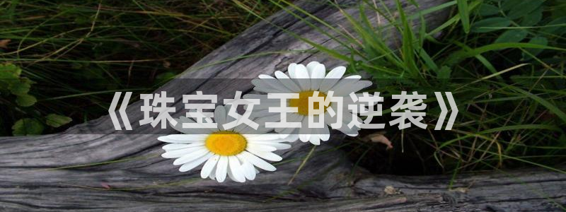 娱乐新航向