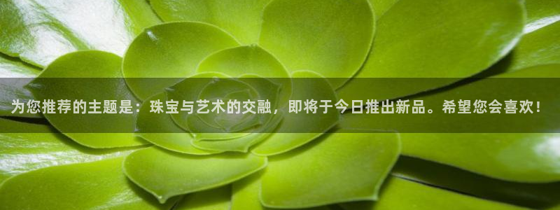 新航娱乐有限公司