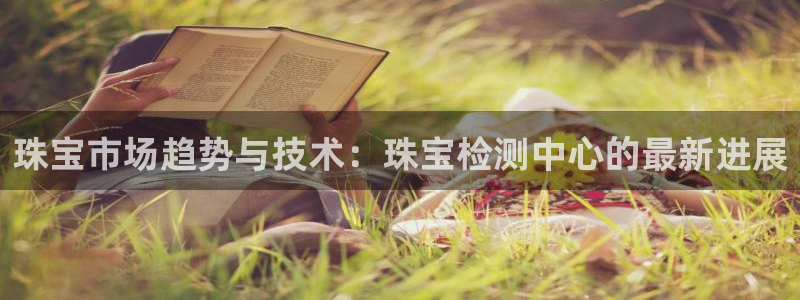 新航娱乐公司地址查询