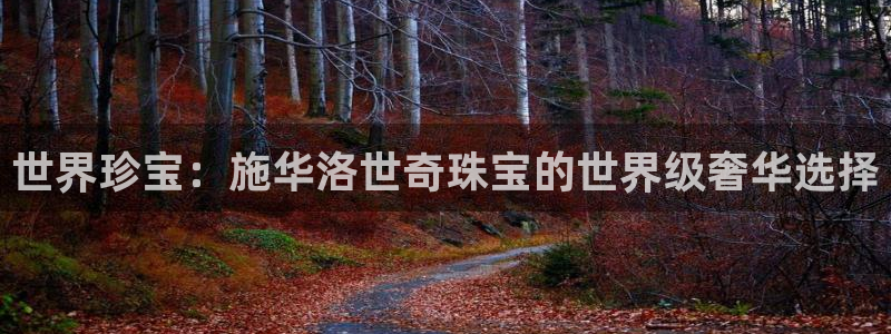 新航娱乐设施